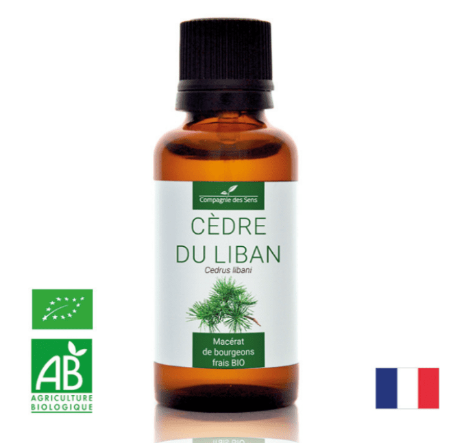Macérat Cèdre du Liban 30ml