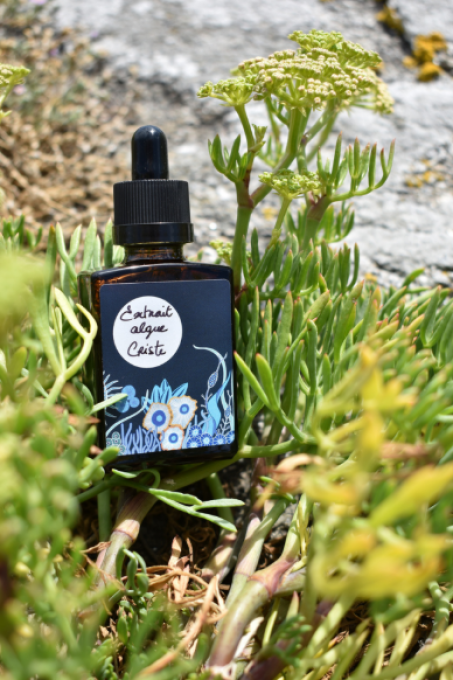 Élixir de Criste Marine BIO  30 ml