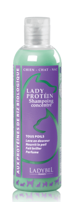 Shampoing haute qualité  LADY PROTEIN - Flacon 200 ML