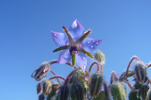 Nos valeurs Nos valeurs
