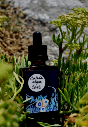 Eric Guillaud : Cosmétiques bio naturels fabriqués en France Eric Guillaud : Cosmétiques bio naturels fabriqués en France